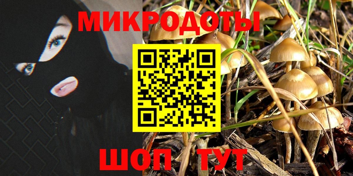 Галлюциногенные грибы мицелий  Вход с VPN  Сегежа 