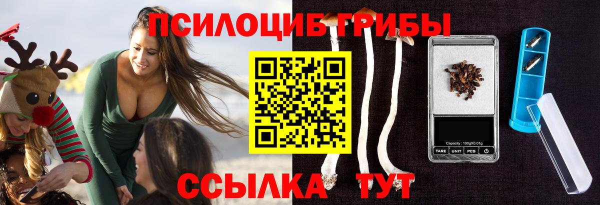 Псилоцибиновые грибы MAGIC MUSHROOMS Сегежа